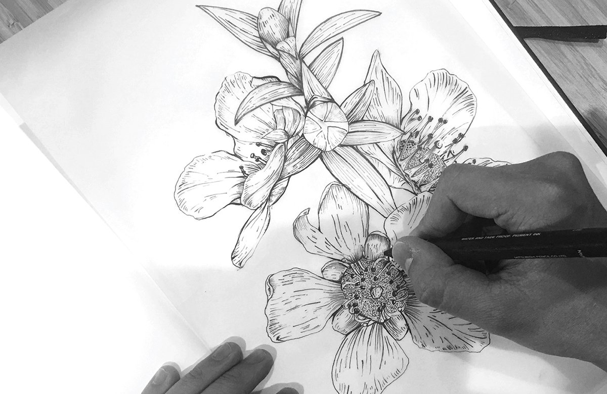 MānukaHoney蜂蜜風(fēng)味葡萄酒品牌包裝設(shè)計欣賞，葡萄酒品牌，酒品牌設(shè)計，酒品牌策劃，酒品牌全案策劃，酒品牌形象塑造，深圳品牌設(shè)計，深圳品牌策劃，深圳品牌全案策劃，深圳品牌形象塑造，左右格局