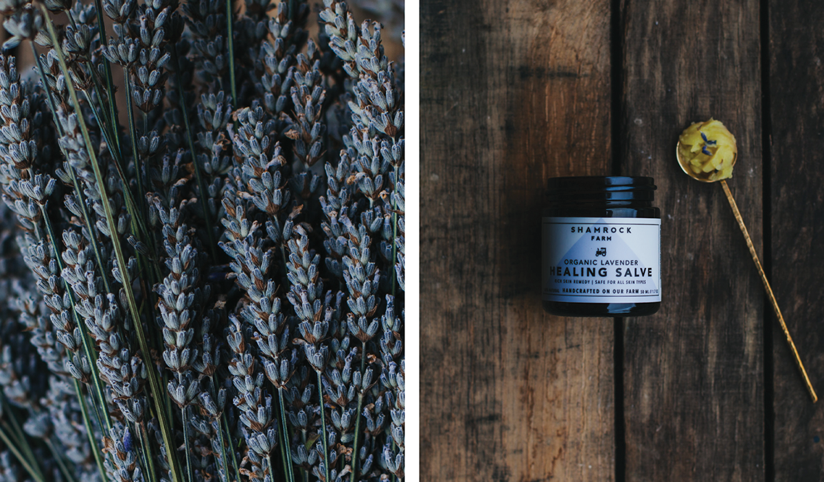 有機肥皂（日用品）品牌vi設計和包裝設計欣賞，vi設計，日化vi設計，日用品vi設計，肥皂品牌包裝設計，深圳vi設計，深圳包裝設計，左右格局