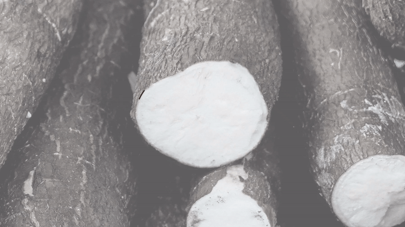 深圳食品包裝設(shè)計(jì)，餅干食品設(shè)計(jì)，食品包裝形象，品牌包裝設(shè)計(jì)
