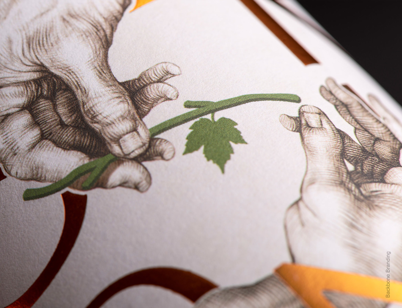 深圳包裝設計，包裝設計公司，葡萄酒產品包裝