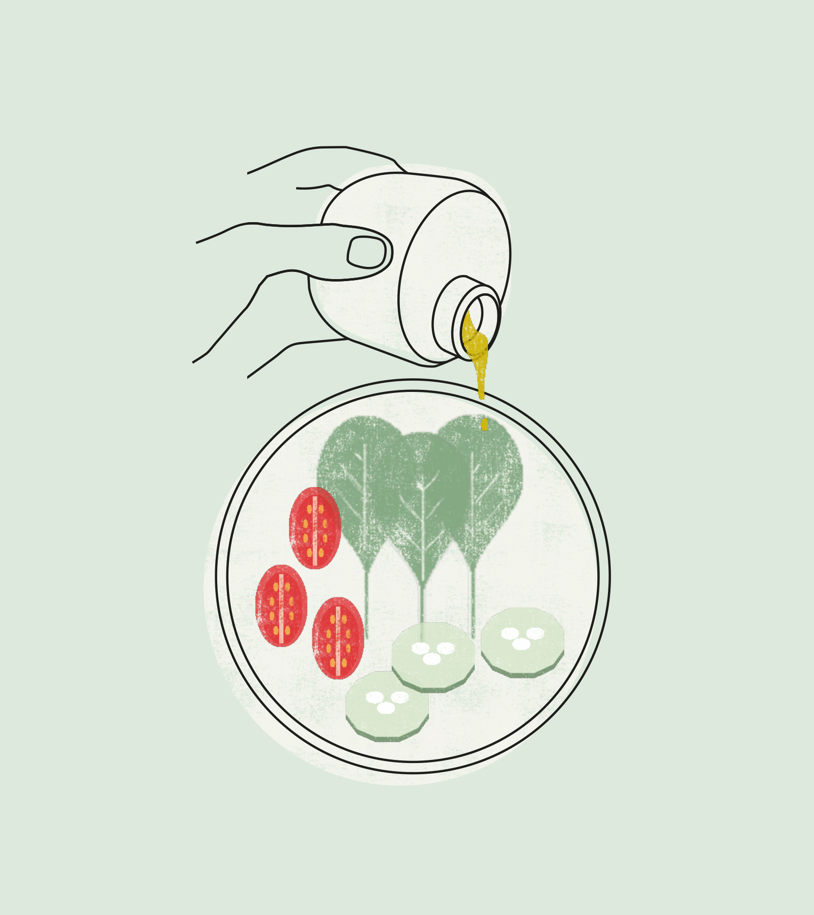 有機(jī)環(huán)保的包裝設(shè)計(jì) 有機(jī)環(huán)保的包裝設(shè)計(jì)