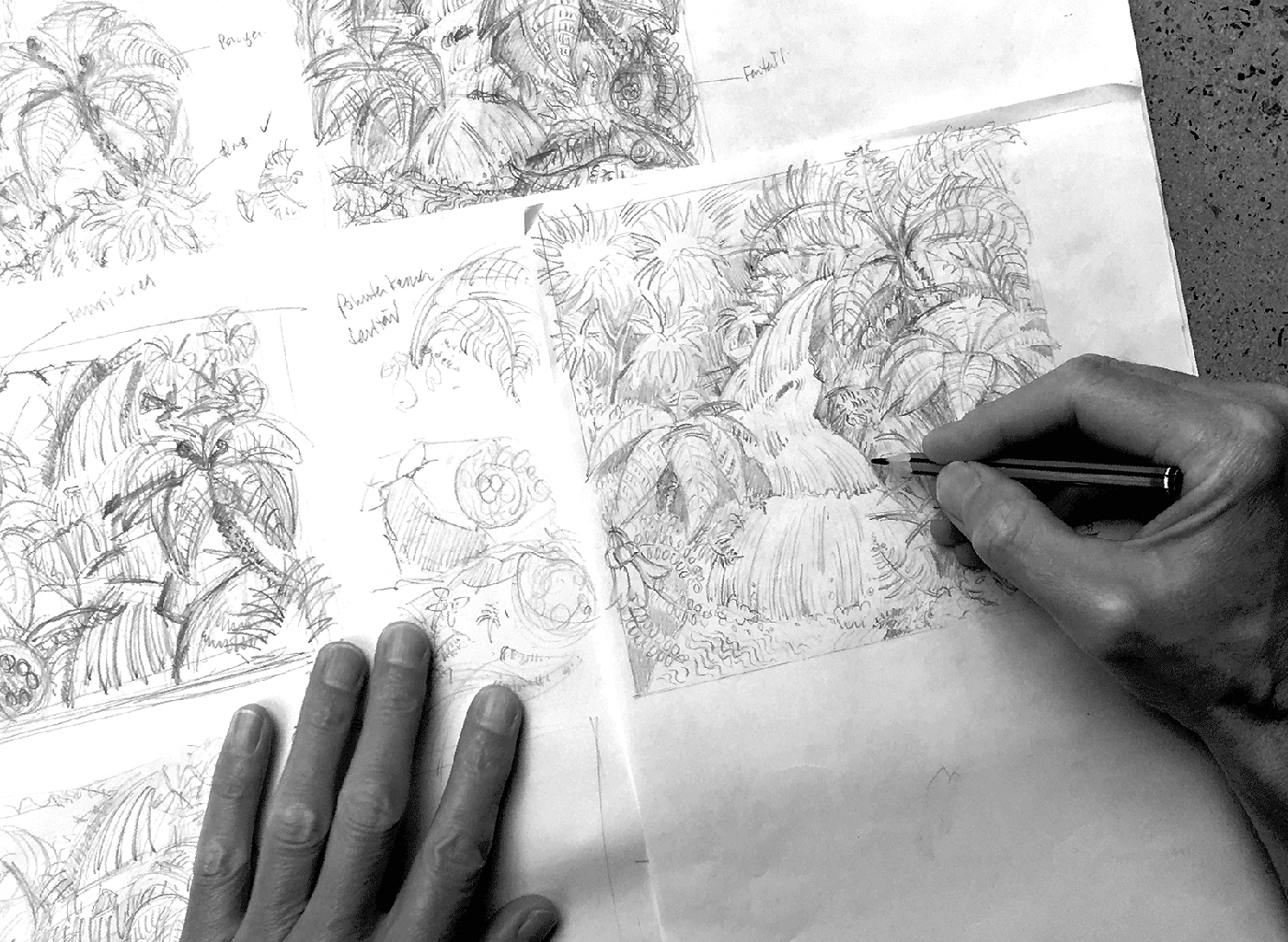 十四朗姆酒的品牌包裝設(shè)計(jì)是對(duì)新西蘭自然美景的慶祝