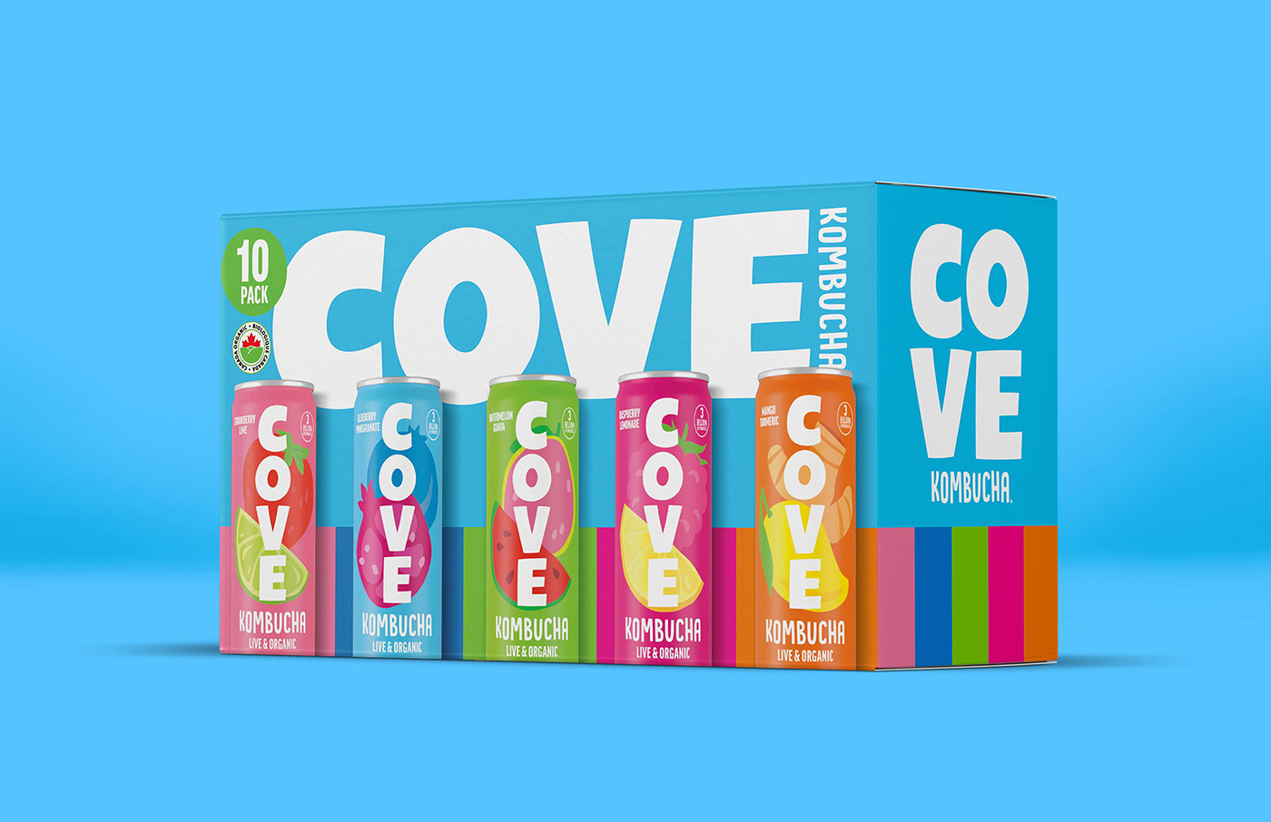 康普茶包裝設計有助于以煥然一新的視覺品牌設計風格促進腸道健康 康普茶包裝設計有助于以煥然一新的視覺品牌設計風格促進腸道健康