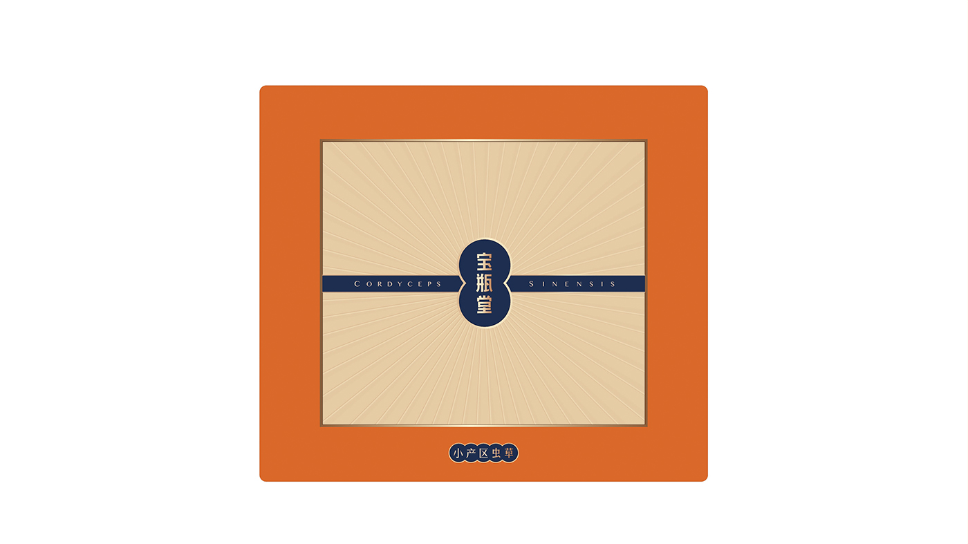 寶瓶堂高端滋補(bǔ)品包裝設(shè)計(jì)開(kāi)發(fā)