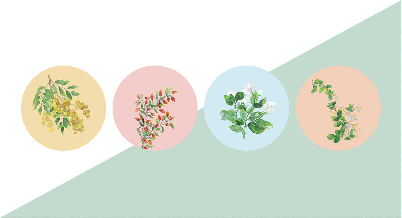 深圳高端滋補(bǔ)品品牌：寶瓶堂花果茶和湯包包裝設(shè)計(jì)開(kāi)發(fā)