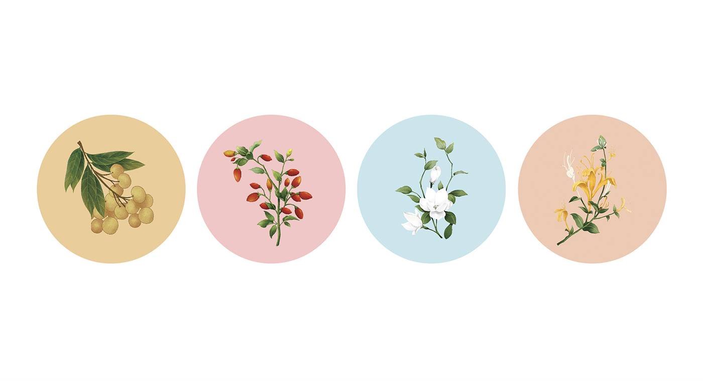 深圳高端滋補(bǔ)品品牌：寶瓶堂花果茶和湯包包裝設(shè)計(jì)開(kāi)發(fā)